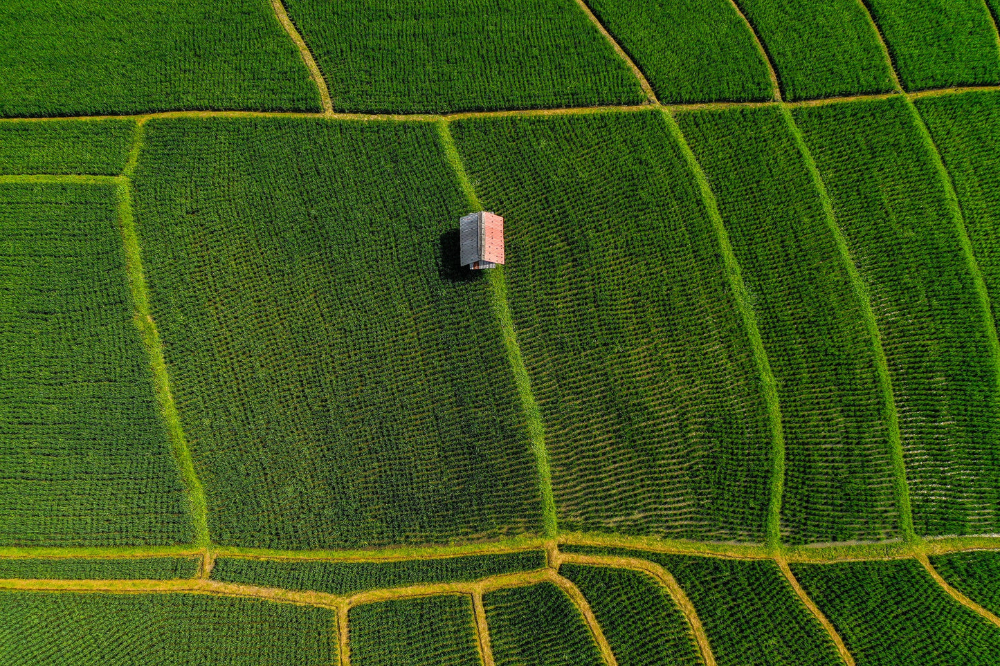 Ba2412 - Terraced Fields - Professional Fine Art Print and Wall Art by MK2 Photos