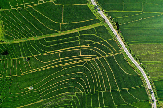 Ba2401 - Terraced Fields - Professional Fine Art Print and Wall Art by MK2 Photos