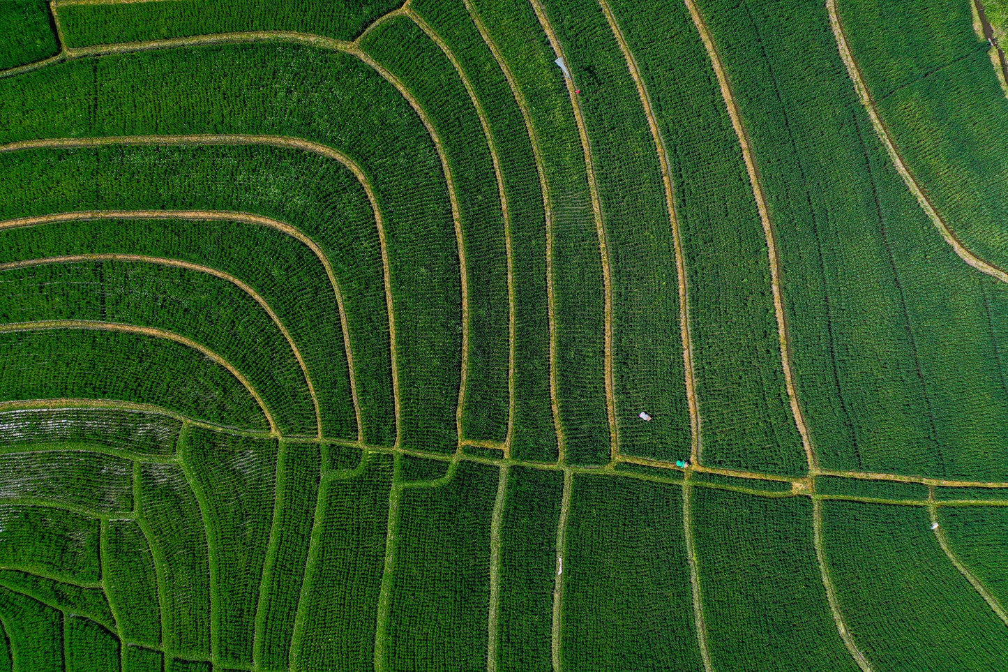 Ba2402 - Terraced Fields - Professional Fine Art Print and Wall Art by MK2 Photos