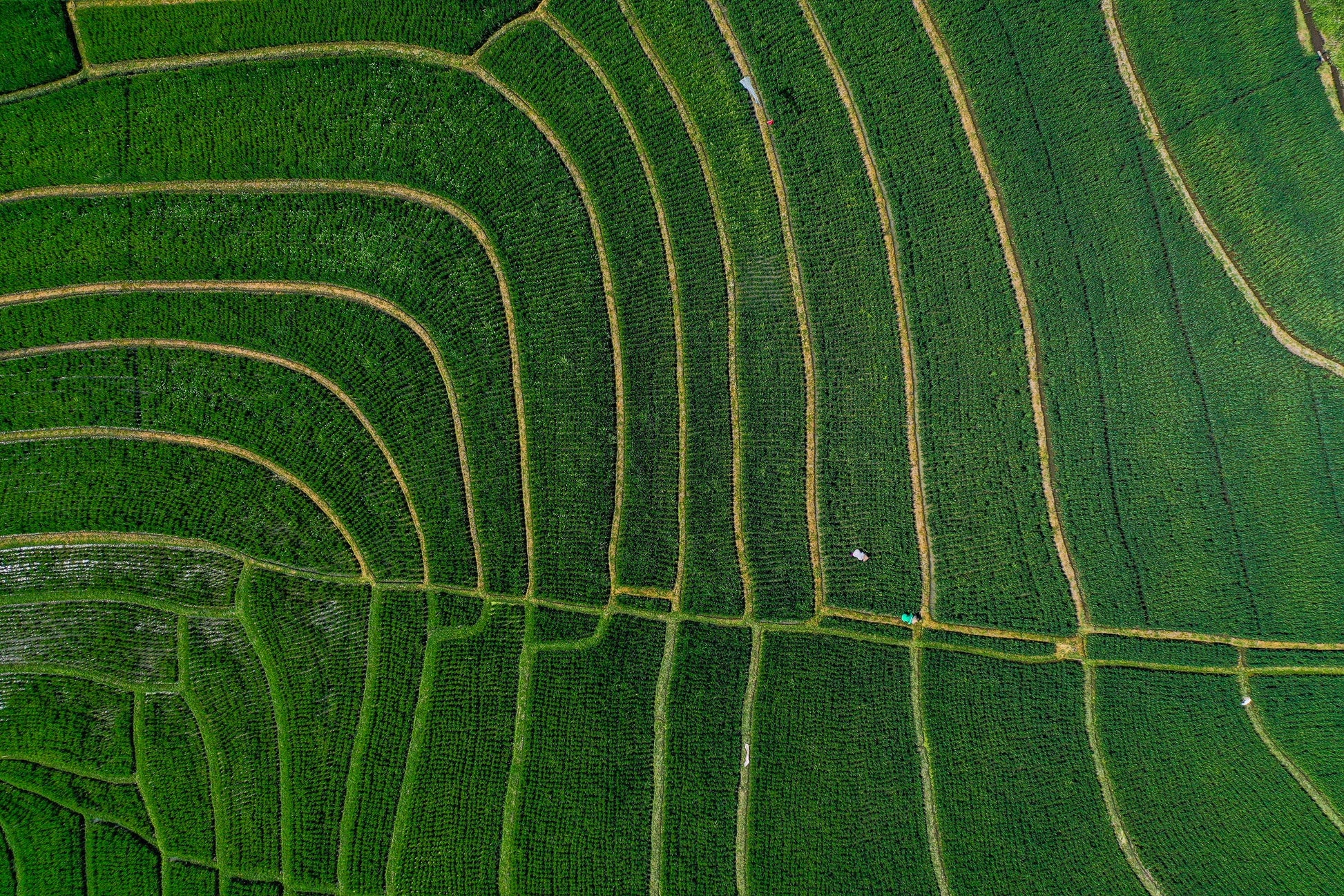 Ba2402 - Terraced Fields - Professional Fine Art Print and Wall Art by MK2 Photos