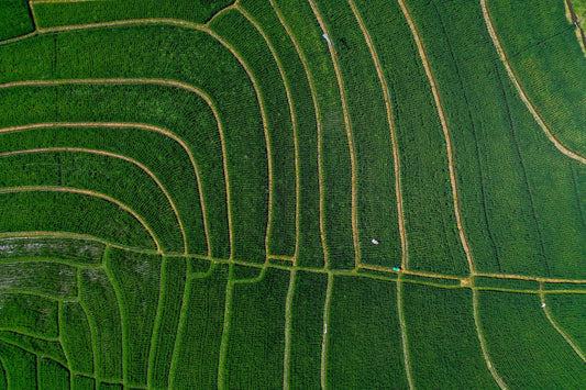 Ba2402 - Terraced Fields - Professional Fine Art Print and Wall Art by MK2 Photos