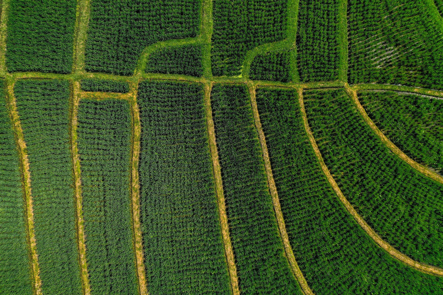 Ba2404 - Terraced Fields - Professional Fine Art Print and Wall Art by MK2 Photos