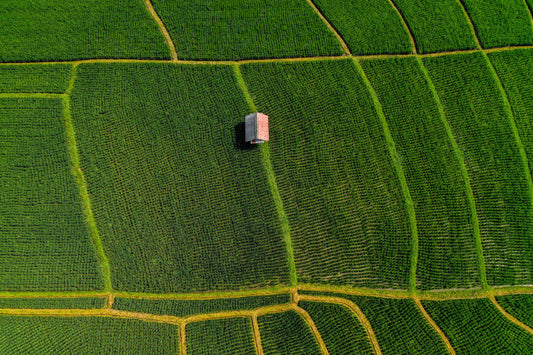 Ba2412 - Terraced Fields - Professional Fine Art Print and Wall Art by MK2 Photos