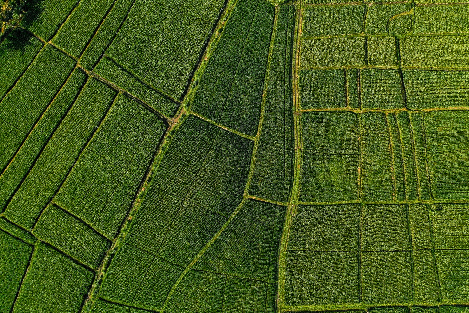 Ba2413 - Terraced Fields - Professional Fine Art Print and Wall Art by MK2 Photos