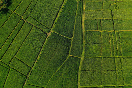 Ba2413 - Terraced Fields - Professional Fine Art Print and Wall Art by MK2 Photos