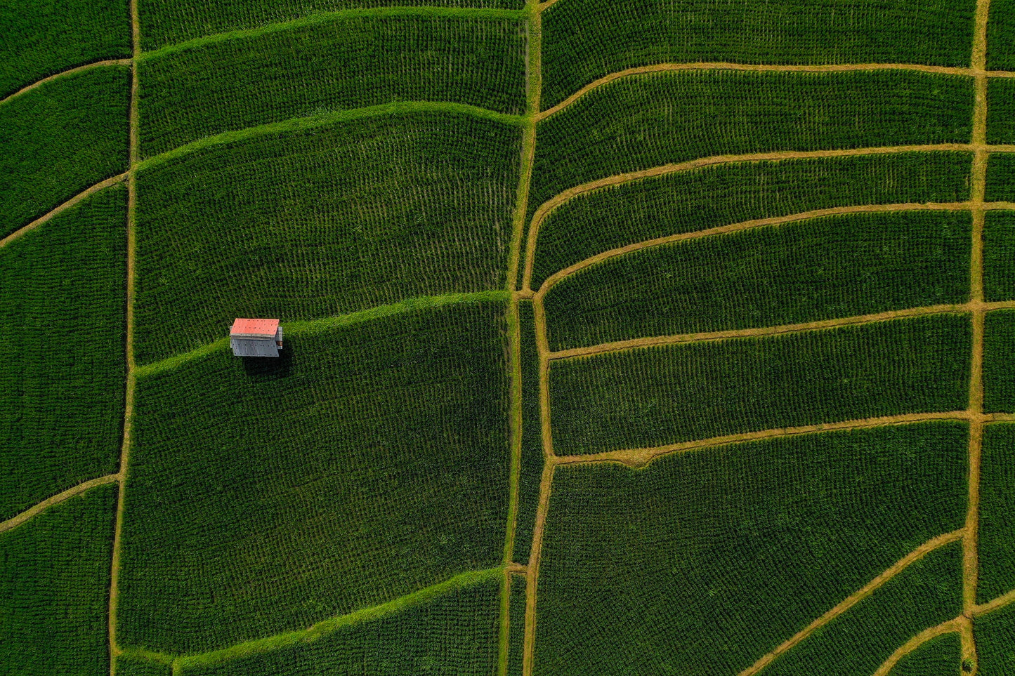 Ba2414 - Terraced Fields - Professional Fine Art Print and Wall Art by MK2 Photos
