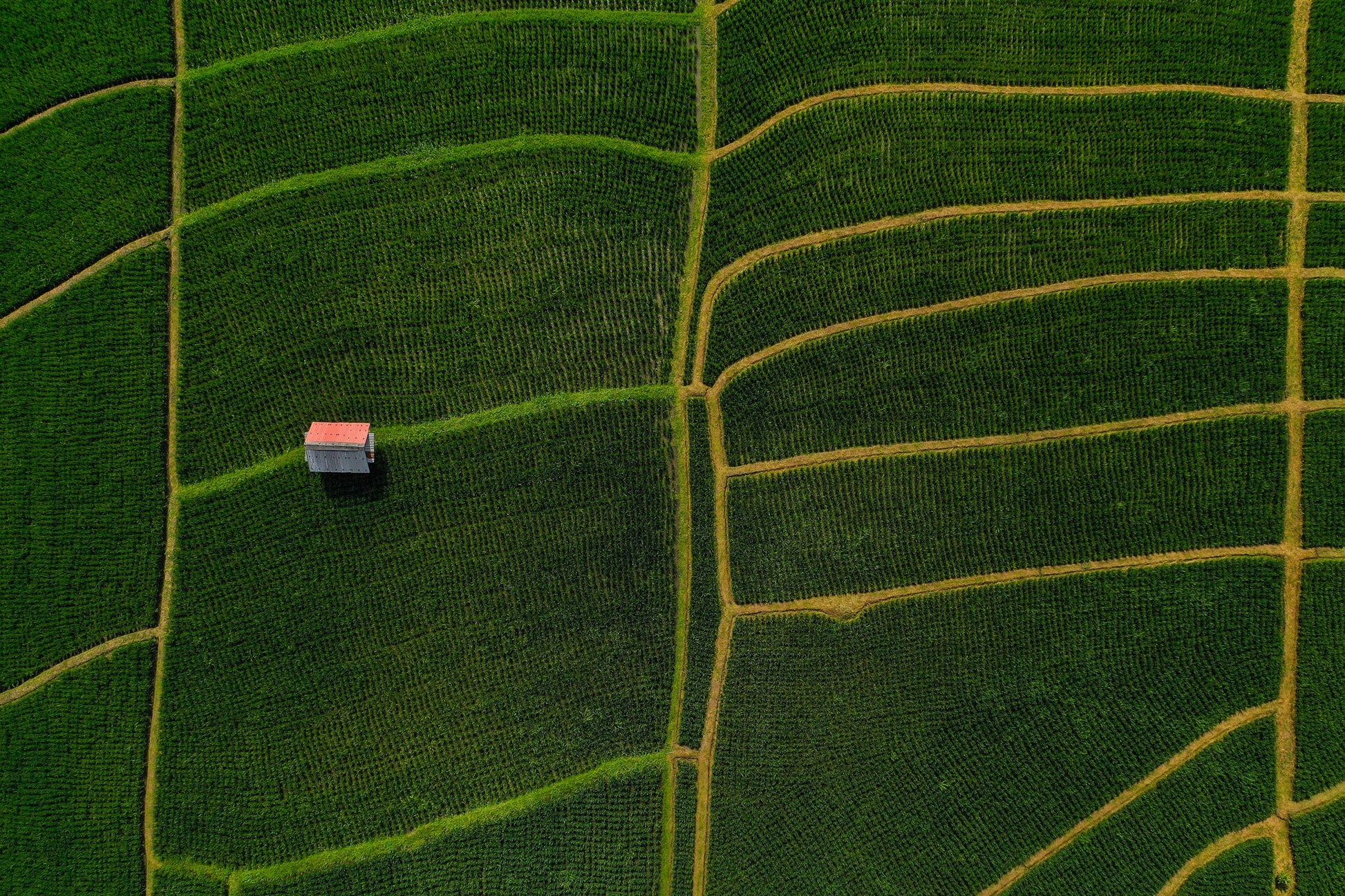 Ba2414 - Terraced Fields - Professional Fine Art Print and Wall Art by MK2 Photos