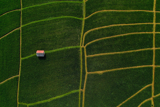 Ba2414 - Terraced Fields - Professional Fine Art Print and Wall Art by MK2 Photos