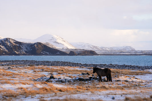 Ic2506 - Iceland Landscape - Professional Fine Art Print and Wall Art by MK2 Photos