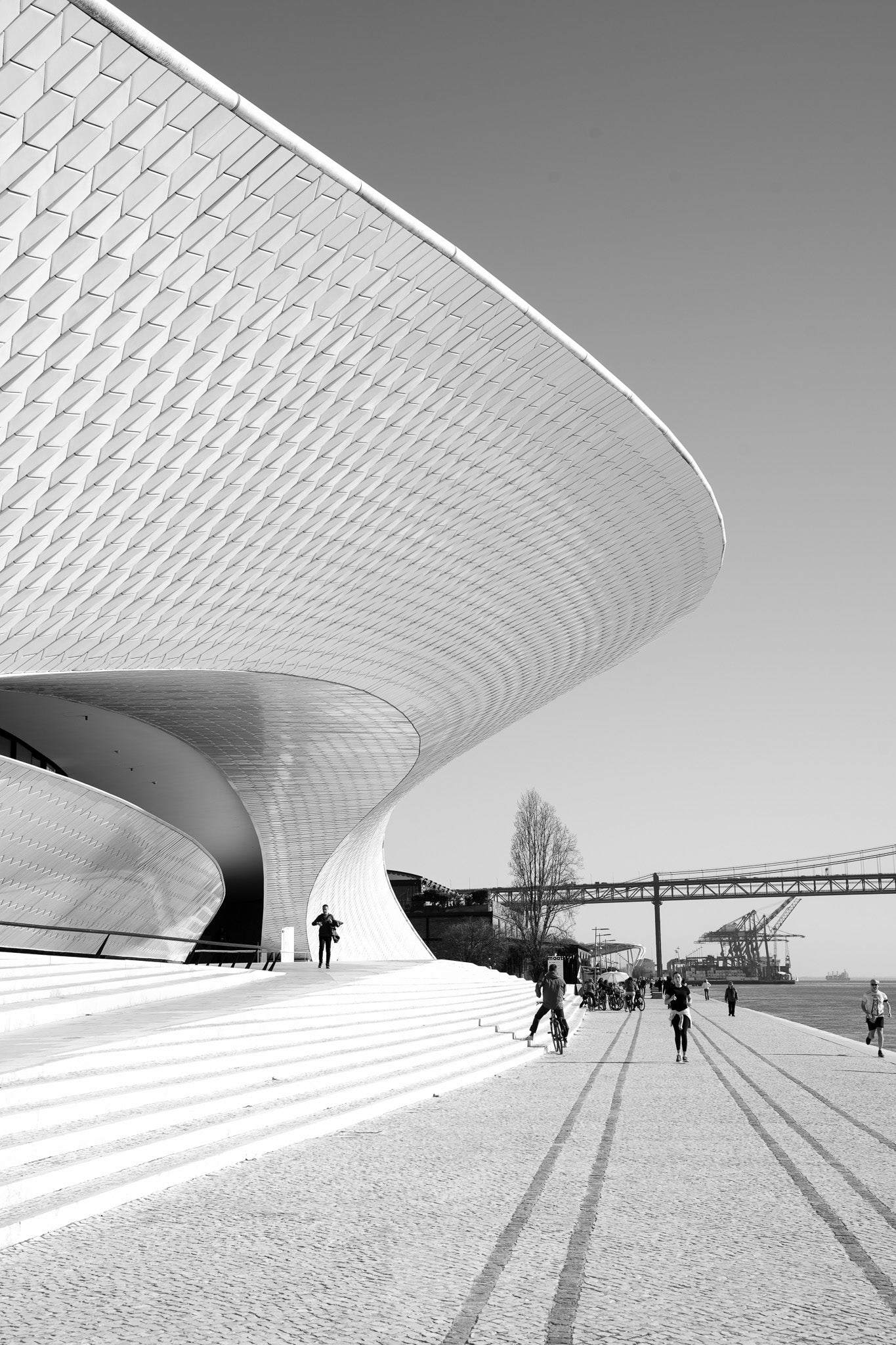 Po2520 - Lisbon - Professional Fine Art Print and Wall Art by MK2 Photos