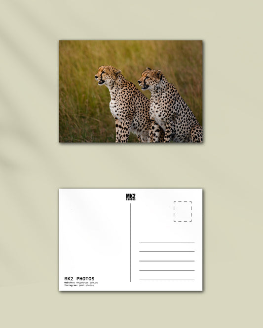 Maasai Mara, Kenya - Professional Fine Art Print and Wall Art by MK2 Photos